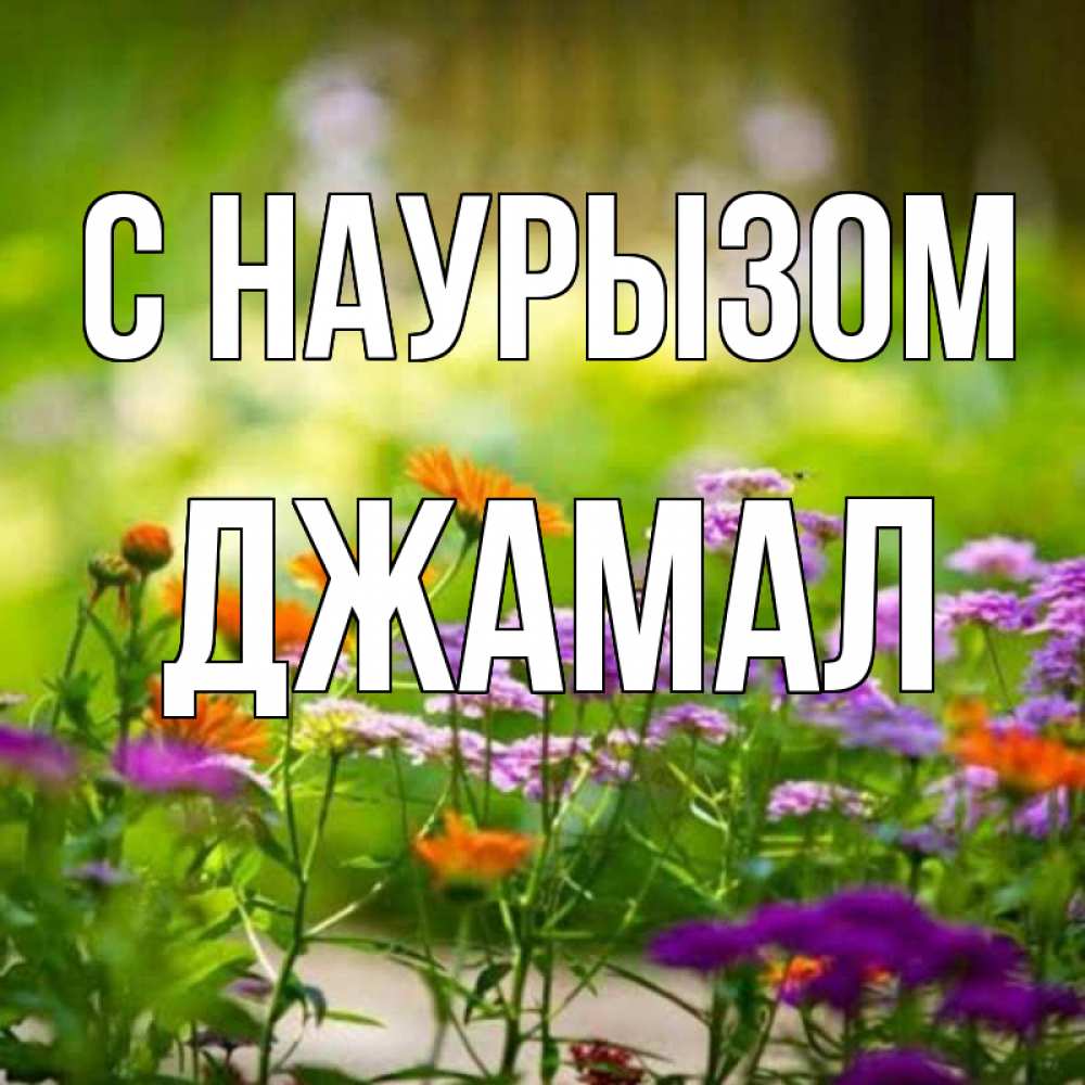 Открытка на каждый день с именем, Джамал С наурызом цветы Прикольная открытка с пожеланием онлайн скачать бесплатно 