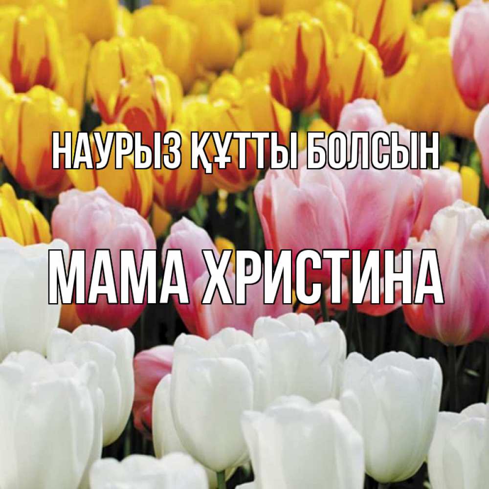Открытка на каждый день с именем, Мама-Христина Наурыз құтты болсын разноцветные цветы Прикольная открытка с пожеланием онлайн скачать бесплатно 