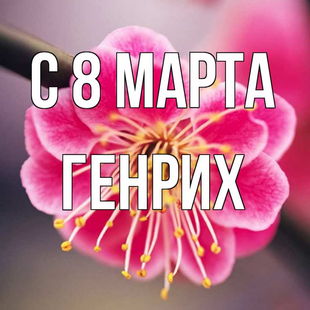 Открытка на каждый день с именем, Генрих С 8 МАРТА цветы Прикольная открытка с пожеланием онлайн скачать бесплатно 