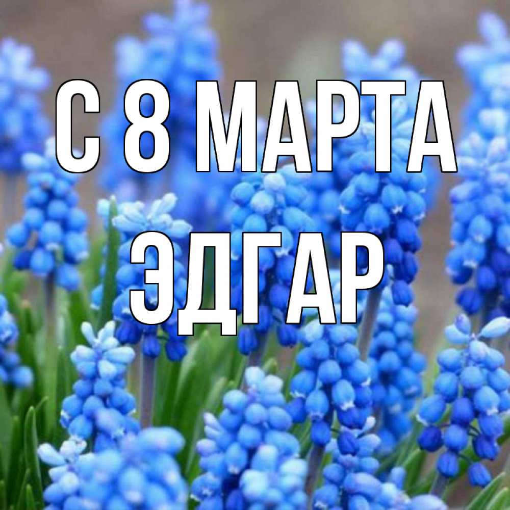 Открытка на каждый день с именем, Эдгар С 8 марта Поздравительная открытка для женщин с цветами на праздничную дату Прикольная открытка с пожеланием онлайн скачать бесплатно 