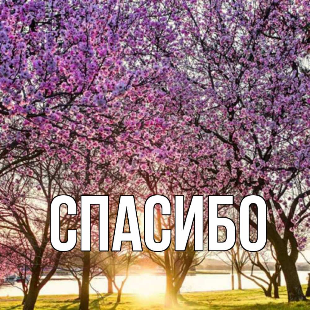 Благодаря им у нас. Благодаря им у нас