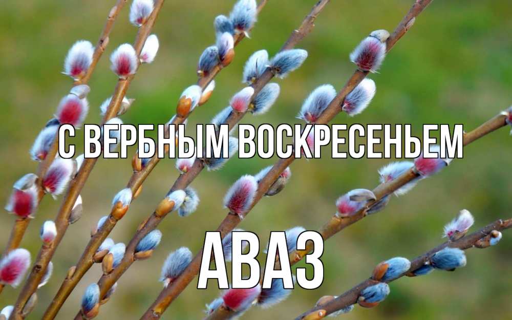 Открытка на каждый день с именем, Аваз С вербным воскресеньем верба Прикольная открытка с пожеланием онлайн скачать бесплатно 