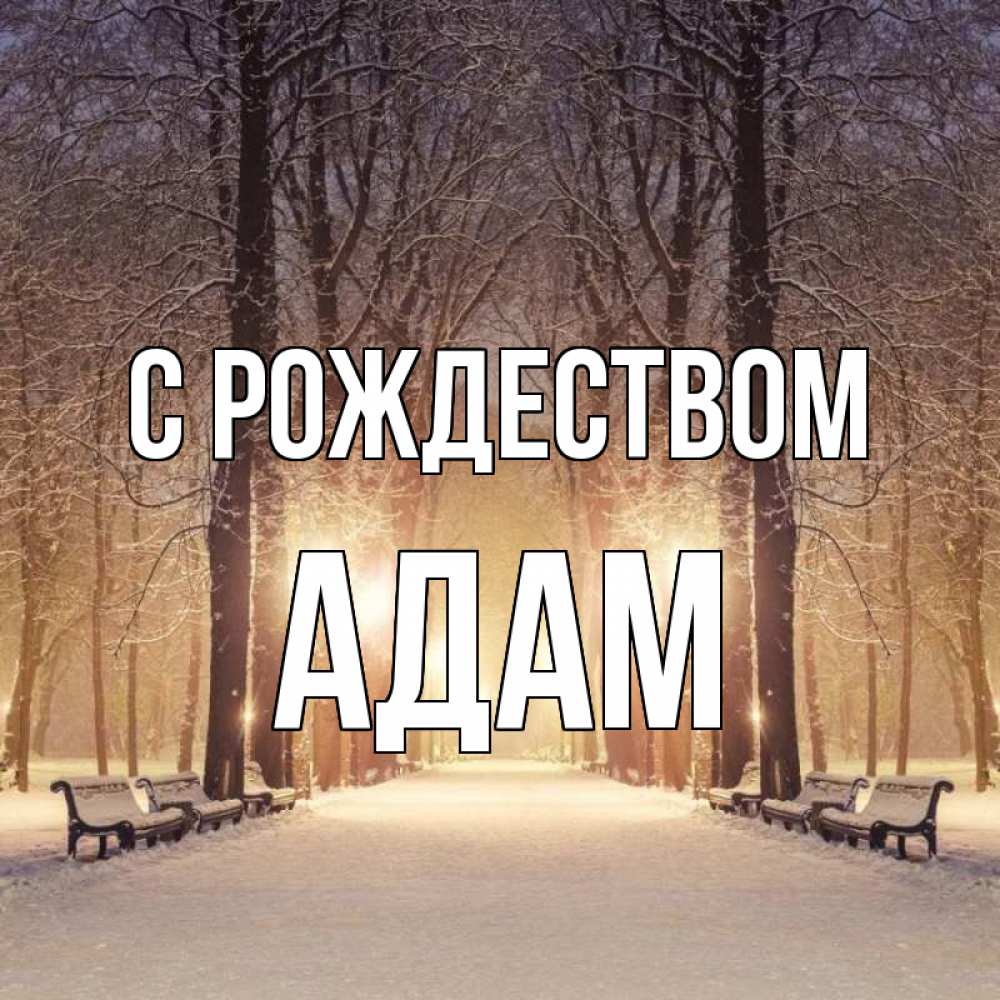 Открытка на каждый день с именем, Адам С рождеством зима, парк, фонарь, лес Прикольная открытка с пожеланием онлайн скачать бесплатно 