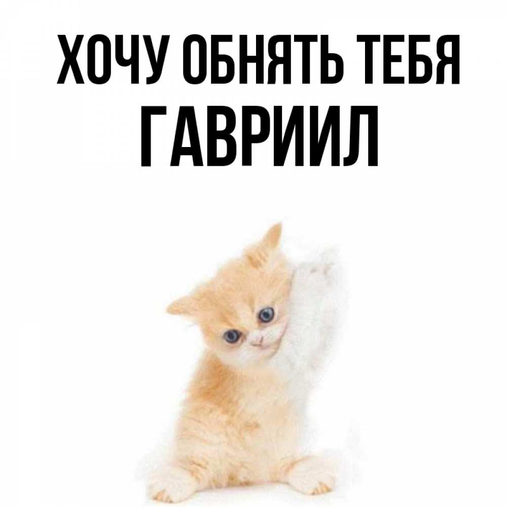 Открытка на каждый день с именем, Гавриил Хочу обнять тебя я хочу очень скорее обнимаешек Прикольная открытка с пожеланием онлайн скачать бесплатно 