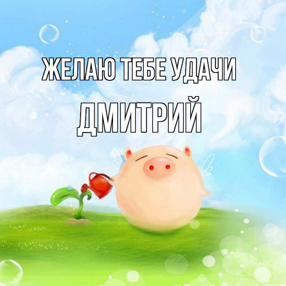 Открытка на каждый день с именем, Дмитрий Желаю тебе удачи поросенок поливает цветок. летнее настроение Прикольная открытка с пожеланием онлайн скачать бесплатно 