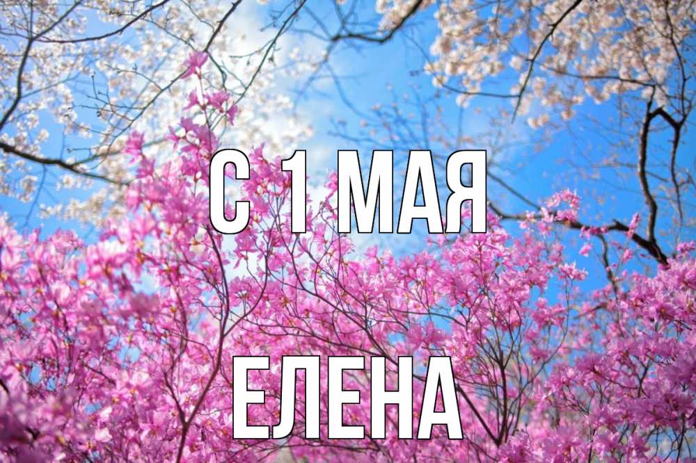 Открытка на каждый день с именем, Елена С 1 мая С 1 мая Прикольная открытка с пожеланием онлайн скачать бесплатно 