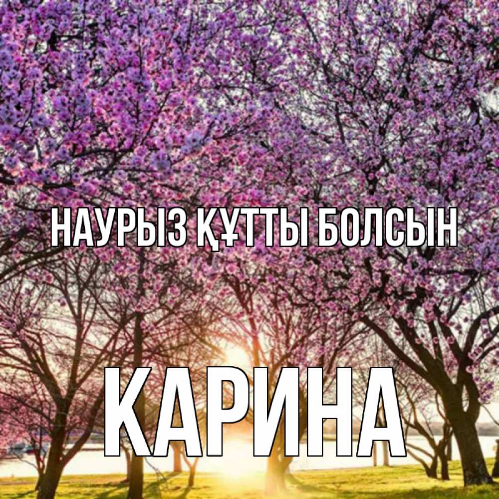 Открытка на каждый день с именем, Карина Наурыз құтты болсын наурыз Прикольная открытка с пожеланием онлайн скачать бесплатно 