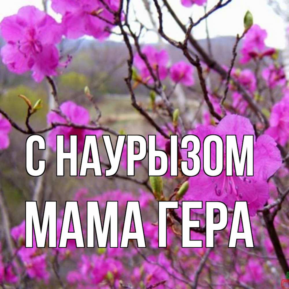 Открытка на каждый день с именем, Мама-Гера С наурызом праздник весны наурыз Прикольная открытка с пожеланием онлайн скачать бесплатно 