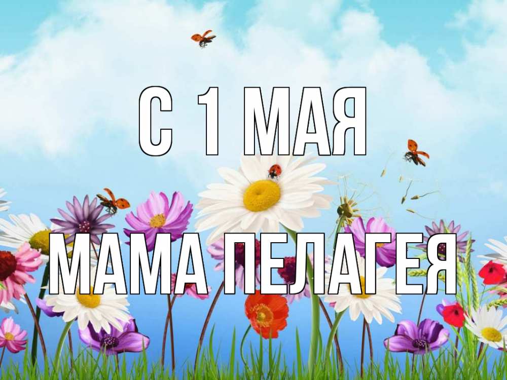 Открытка на каждый день с именем, Мама-Пелагея С 1 мая С 1 мая Прикольная открытка с пожеланием онлайн скачать бесплатно 