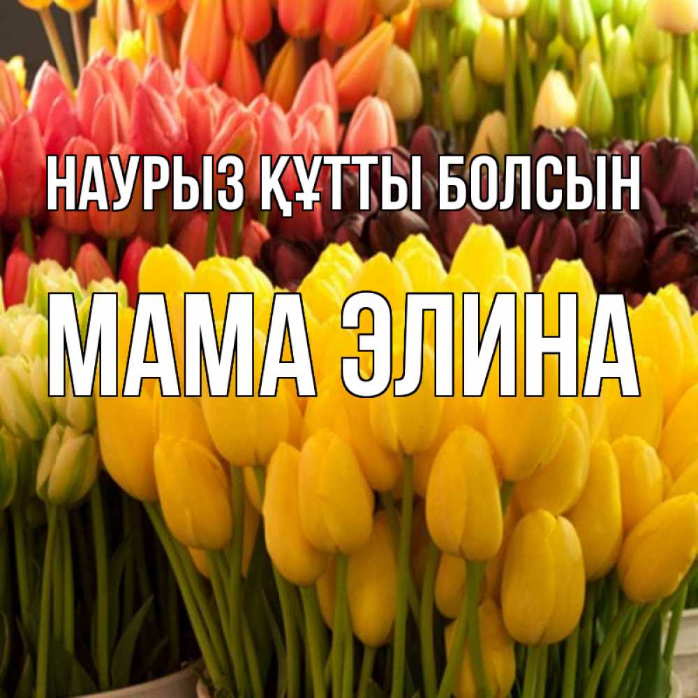 Открытка на каждый день с именем, Мама-Элина Наурыз құтты болсын цветы Прикольная открытка с пожеланием онлайн скачать бесплатно 