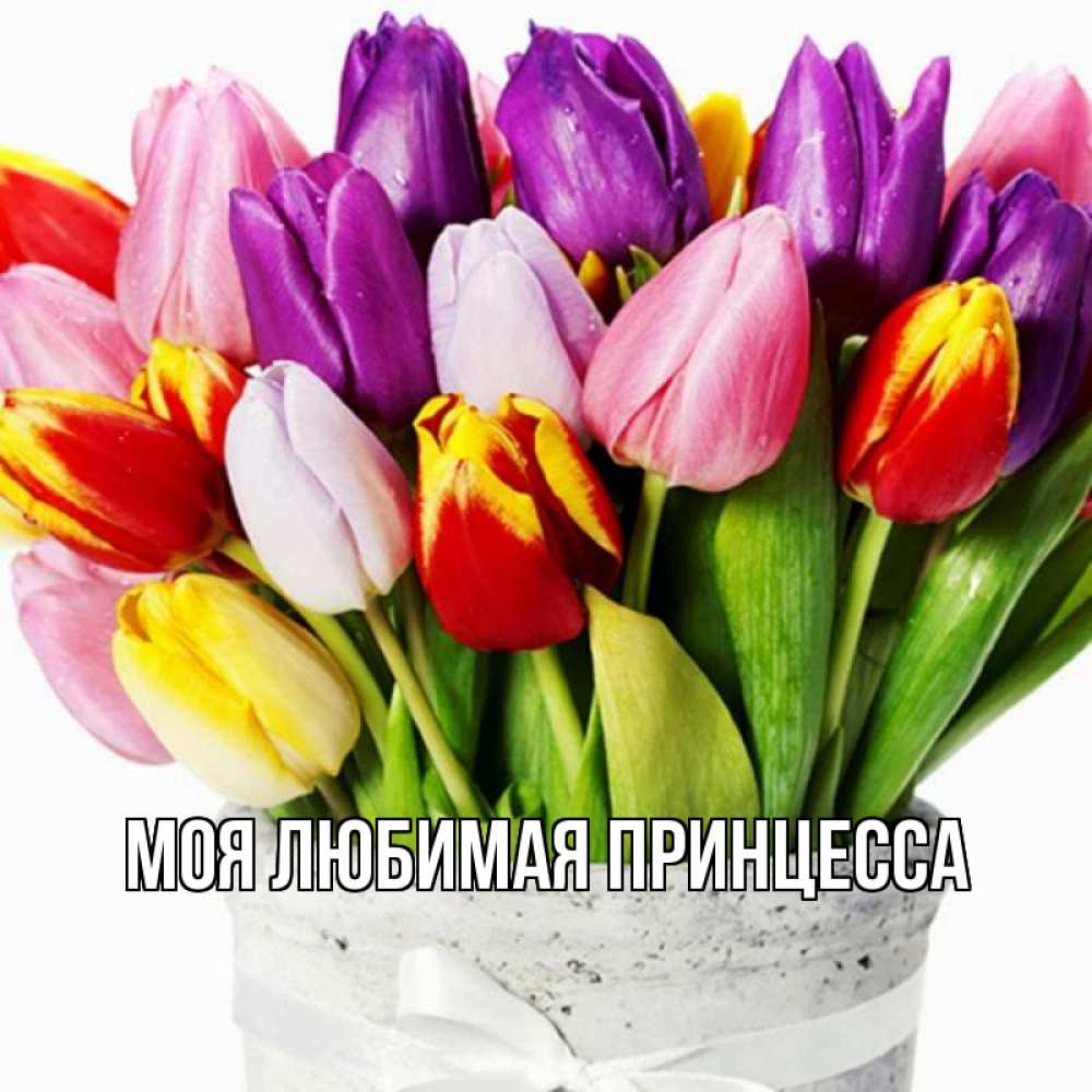 Открытка на каждый день с именем, Моя-Любимая-Принцесса Главная букет Прикольная открытка с пожеланием онлайн скачать бесплатно 