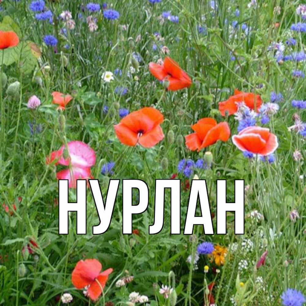 Открытка на каждый день с именем, Нурлан Главная праздник весны наурыз супер открытка Прикольная открытка с пожеланием онлайн скачать бесплатно 