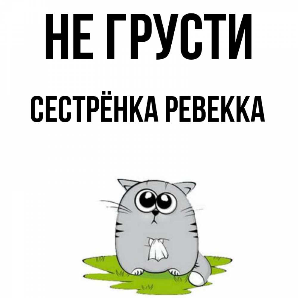 Открытка на каждый день с именем, Сестрёнка-Ревекка Не грусти грустный котяра Прикольная открытка с пожеланием онлайн скачать бесплатно 