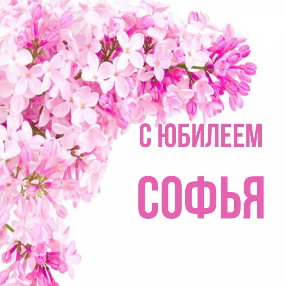 Открытка на каждый день с именем, Софья С юбилеем Сирень на белом фоне Прикольная открытка с пожеланием онлайн скачать бесплатно 