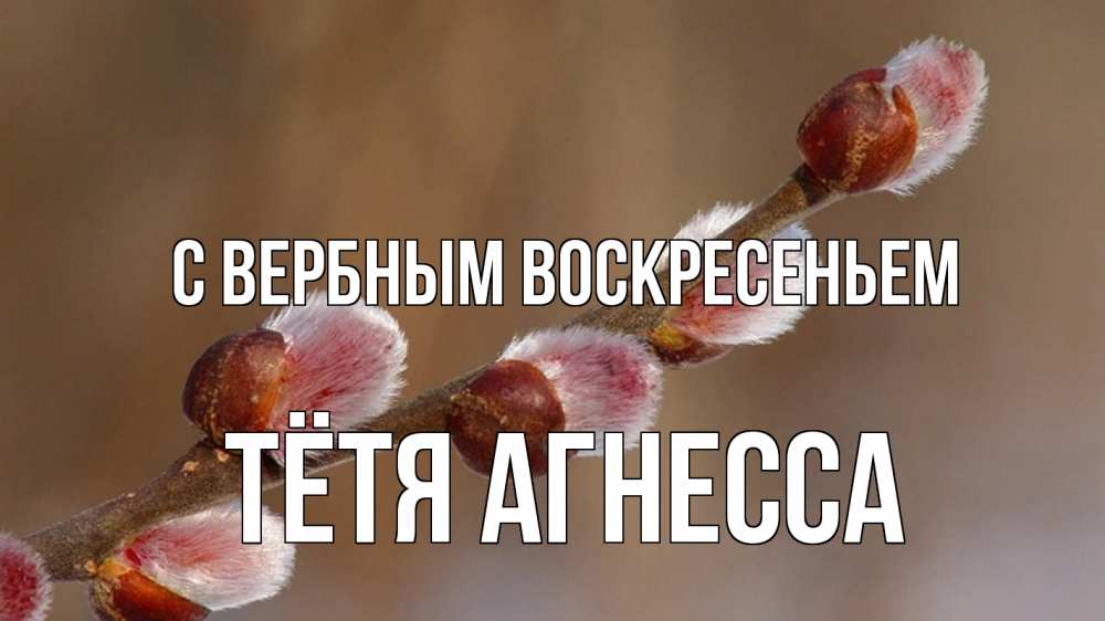Открытка на каждый день с именем, Тётя-Агнесса С вербным воскресеньем верба Прикольная открытка с пожеланием онлайн скачать бесплатно 
