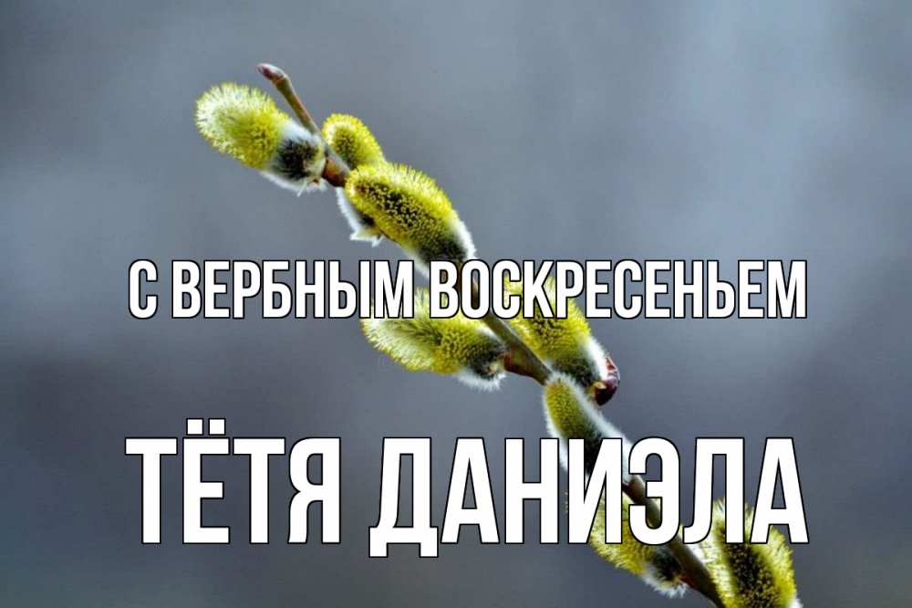 Открытка на каждый день с именем, Тётя-Даниэла С вербным воскресеньем верба Прикольная открытка с пожеланием онлайн скачать бесплатно 