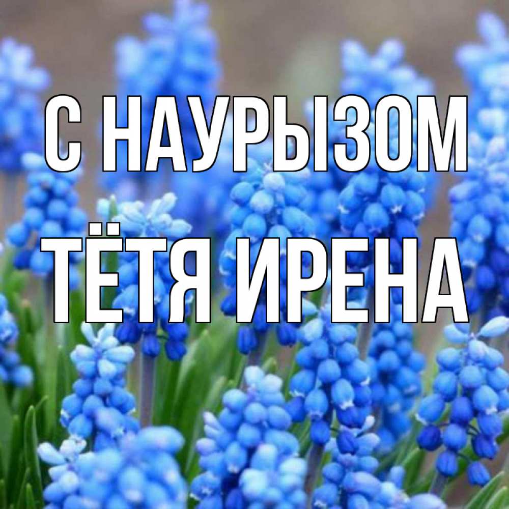 Открытка на каждый день с именем, Тётя-Ирена С наурызом Поздравительная открытка для женщин с цветами на праздничную дату Прикольная открытка с пожеланием онлайн скачать бесплатно 