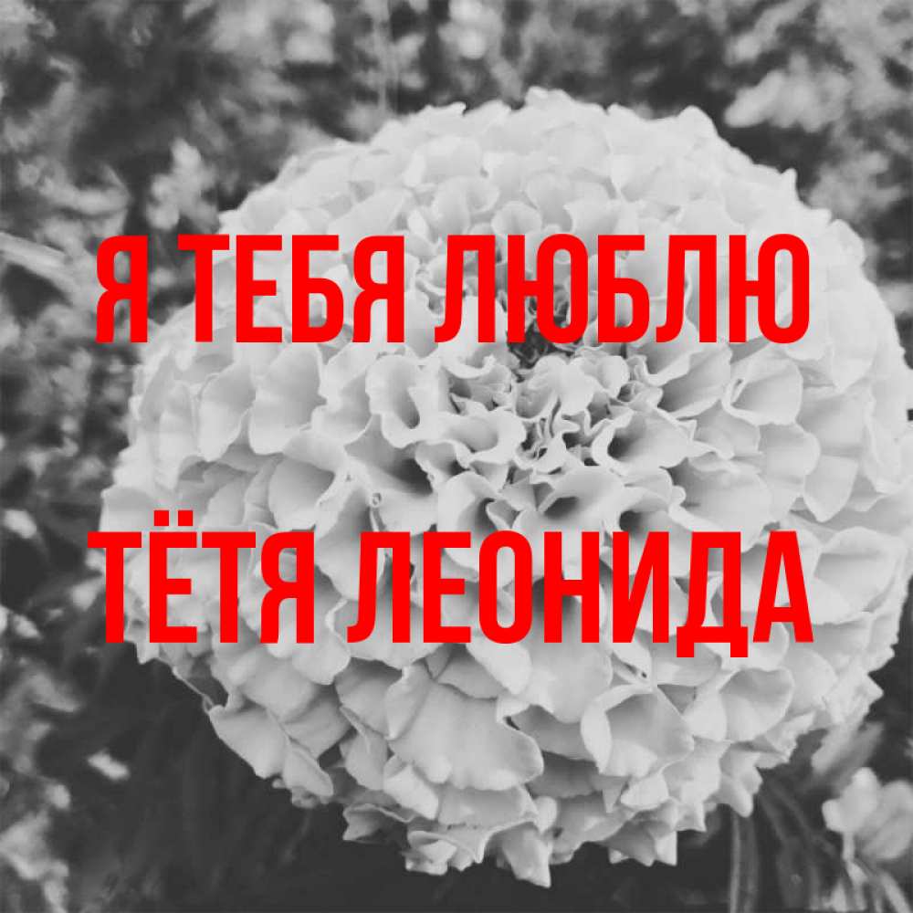 Открытка на каждый день с именем, Тётя-Леонида Я тебя люблю подпись Прикольная открытка с пожеланием онлайн скачать бесплатно 