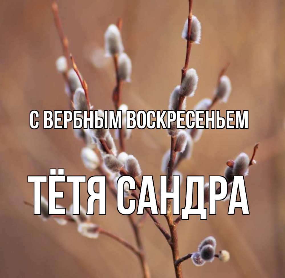 Открытка на каждый день с именем, Тётя-Сандра С вербным воскресеньем верба Прикольная открытка с пожеланием онлайн скачать бесплатно 