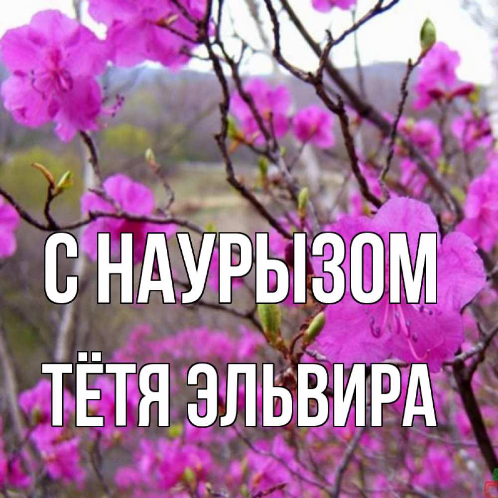 Открытка на каждый день с именем, Тётя-Эльвира С наурызом праздник весны наурыз Прикольная открытка с пожеланием онлайн скачать бесплатно 