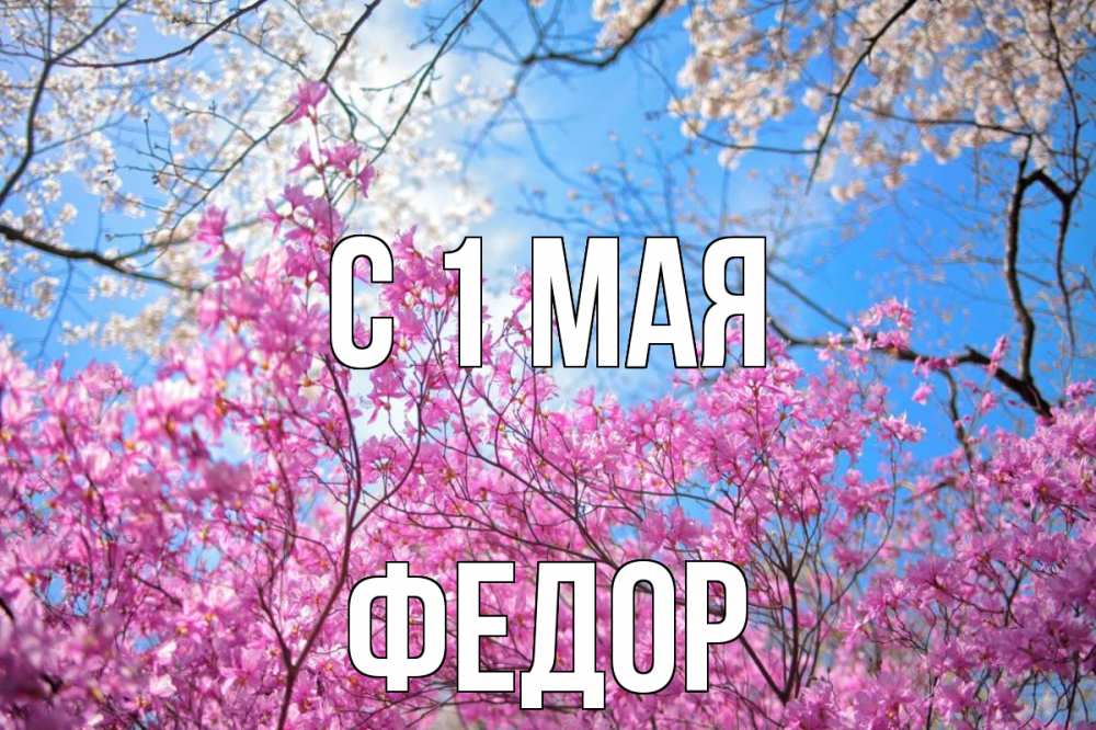 Открытка на каждый день с именем, Федор С 1 мая С 1 мая Прикольная открытка с пожеланием онлайн скачать бесплатно 