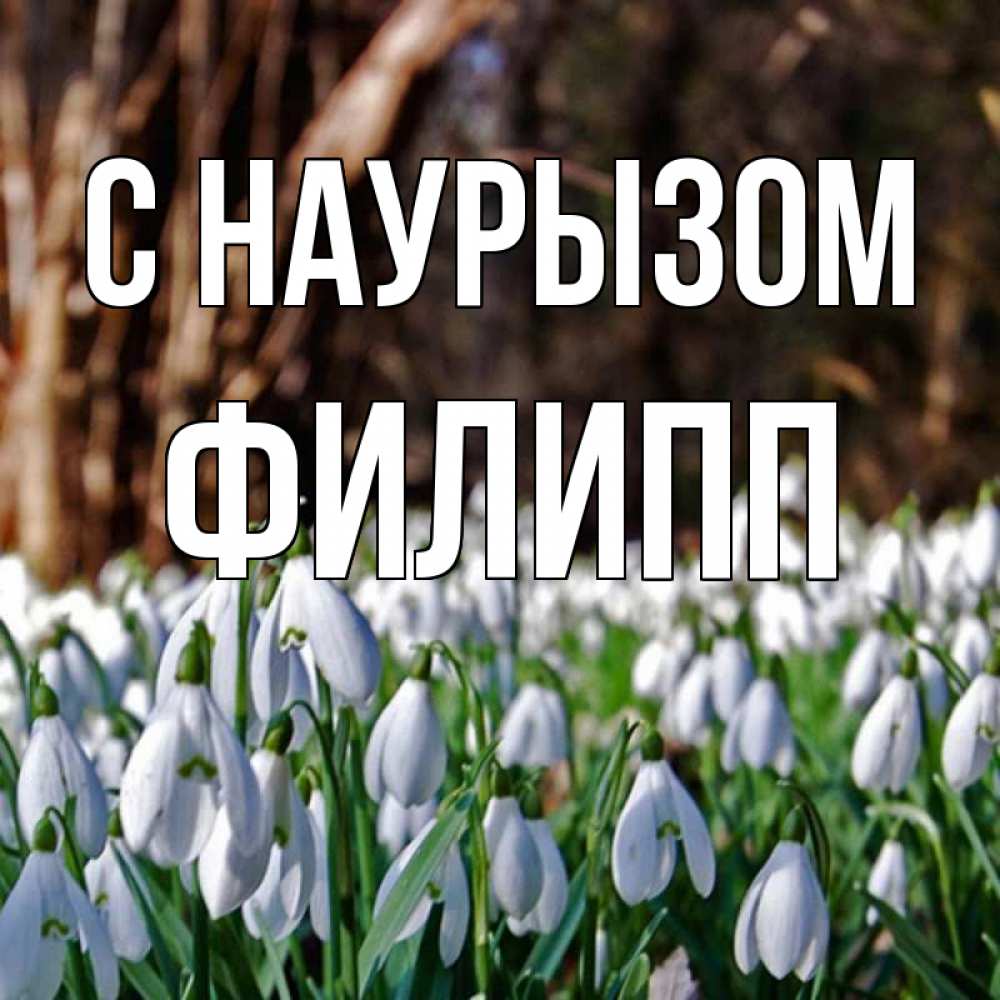 Открытка на каждый день с именем, Филипп С наурызом с подснежниками 1 Прикольная открытка с пожеланием онлайн скачать бесплатно 