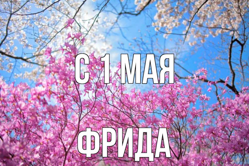 Открытка на каждый день с именем, Фрида С 1 мая С 1 мая Прикольная открытка с пожеланием онлайн скачать бесплатно 