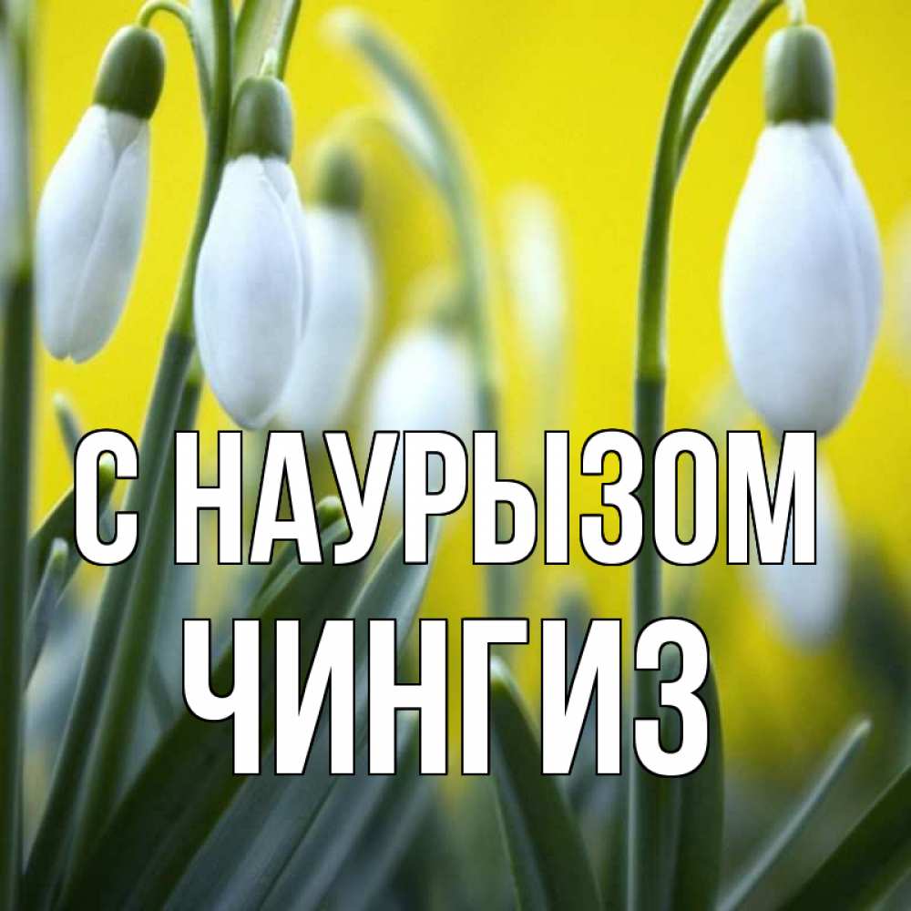 Открытка на каждый день с именем, Чингиз С наурызом весенние цветы Прикольная открытка с пожеланием онлайн скачать бесплатно 