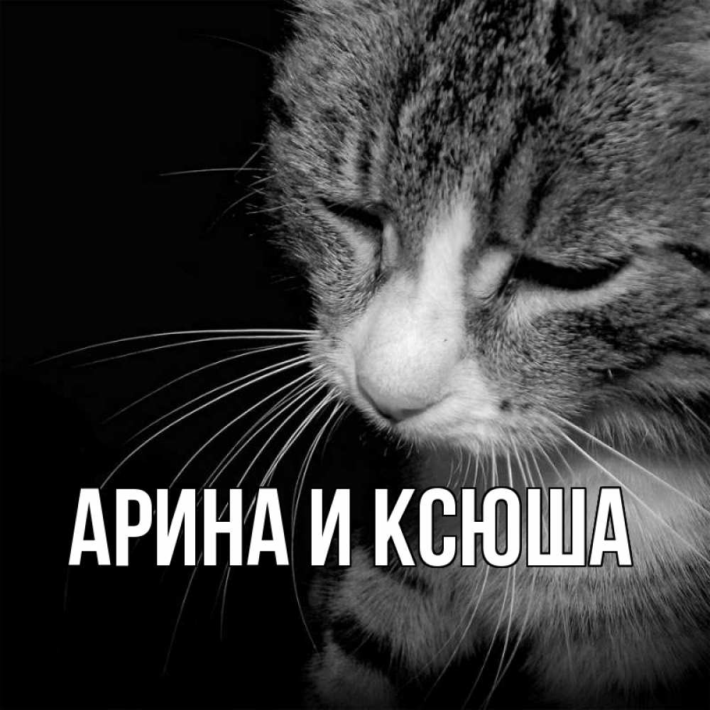 Открытка на каждый день с именем, Арина-и-Ксюша Главная мне скучно Прикольная открытка с пожеланием онлайн скачать бесплатно 