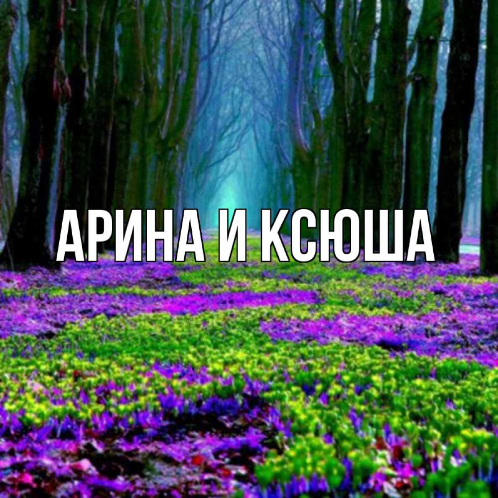 Открытка на каждый день с именем, Арина-и-Ксюша Главная фиолетовые цветы в лесу 1 Прикольная открытка с пожеланием онлайн скачать бесплатно 