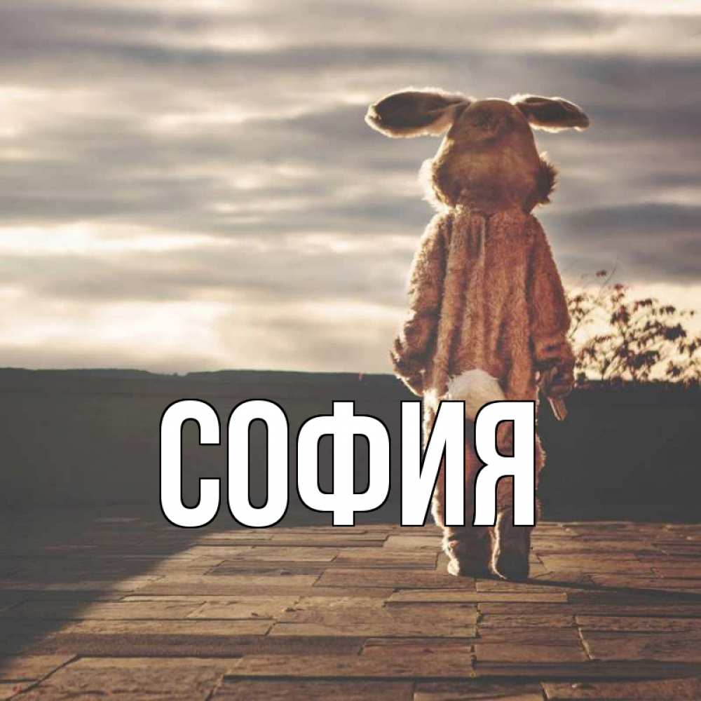 Открытка на каждый день с именем, София Главная со спины Прикольная открытка с пожеланием онлайн скачать бесплатно 