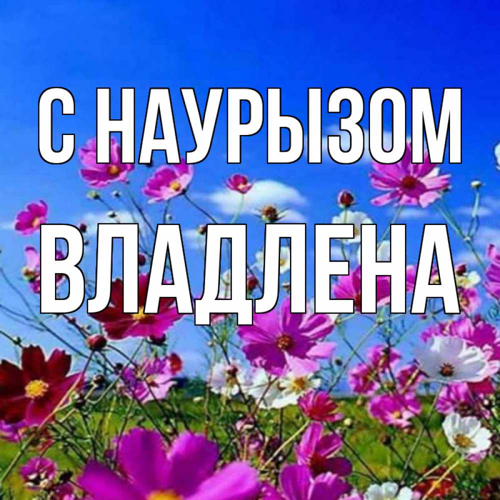 Открытка на каждый день с именем, Владлена С наурызом цветы Прикольная открытка с пожеланием онлайн скачать бесплатно 