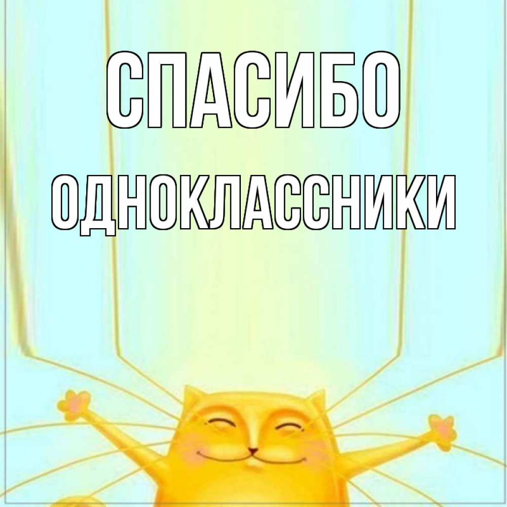 Открытка на каждый день с именем, Одноклассники Спасибо кот с усами благодарит Прикольная открытка с пожеланием онлайн скачать бесплатно 