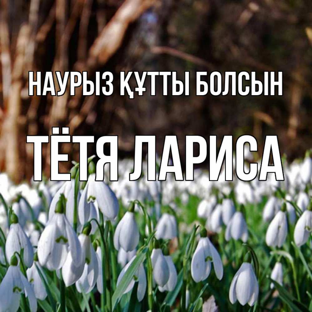 Открытка на каждый день с именем, Тётя-Лариса Наурыз құтты болсын с подснежниками 1 Прикольная открытка с пожеланием онлайн скачать бесплатно 