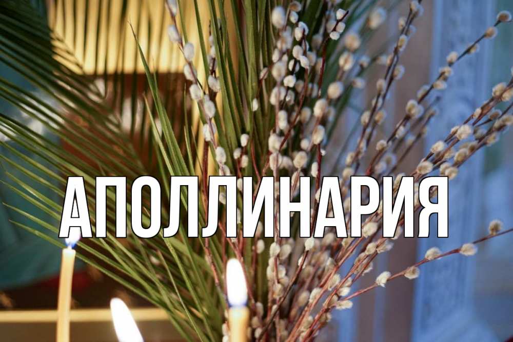 Открытка на каждый день с именем, Аполлинария Главная верба Прикольная открытка с пожеланием онлайн скачать бесплатно 