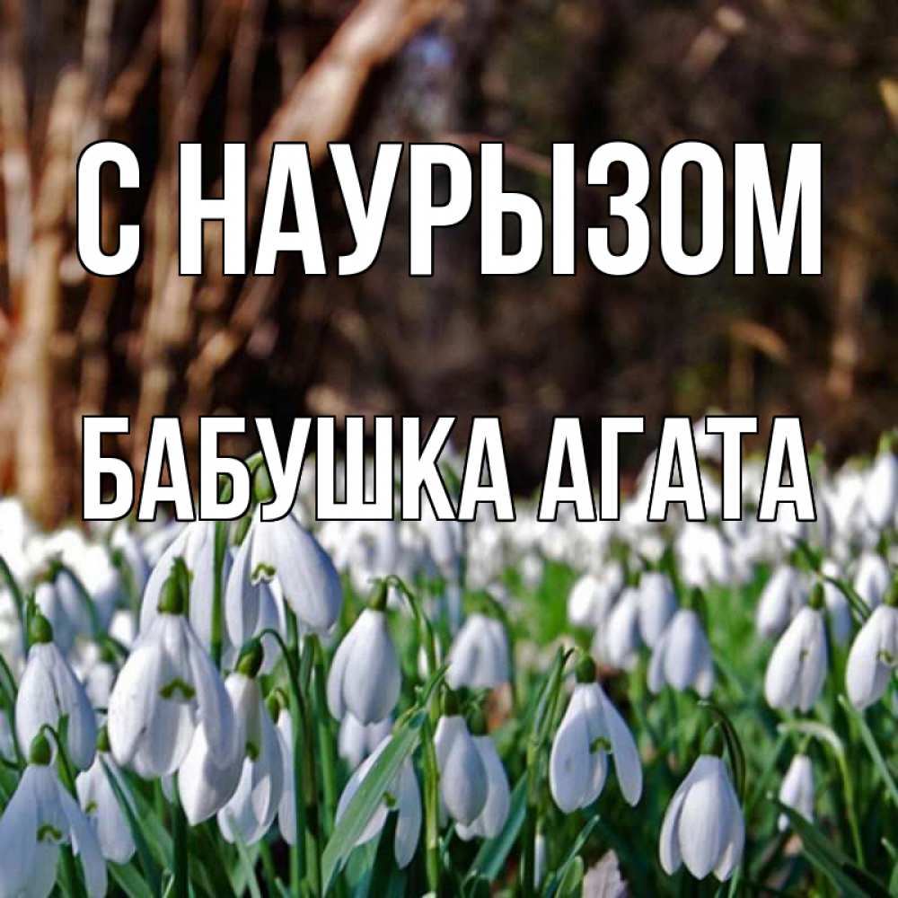 Открытка на каждый день с именем, Бабушка-Агата С наурызом с подснежниками 1 Прикольная открытка с пожеланием онлайн скачать бесплатно 