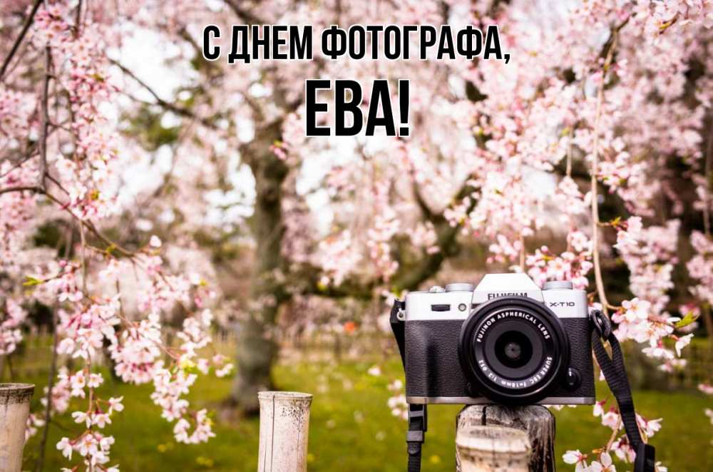 Открытка на каждый день с именем, Ева С днем фотографа сирень с днем фотографа, фотоаппарат Прикольная открытка с пожеланием онлайн скачать бесплатно 