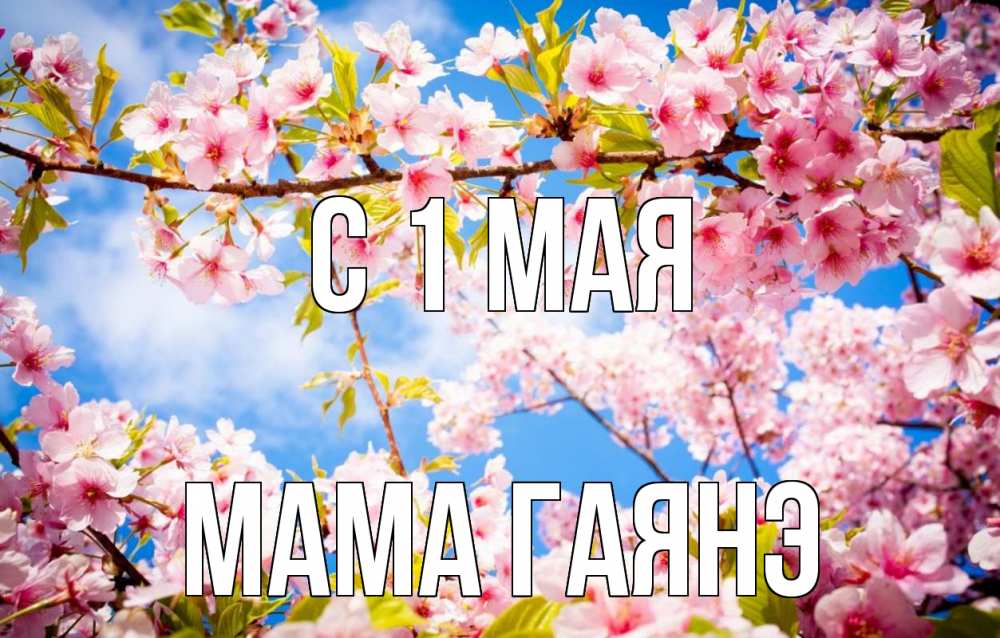 Открытка на каждый день с именем, Мама-Гаянэ С 1 мая С 1 мая Прикольная открытка с пожеланием онлайн скачать бесплатно 