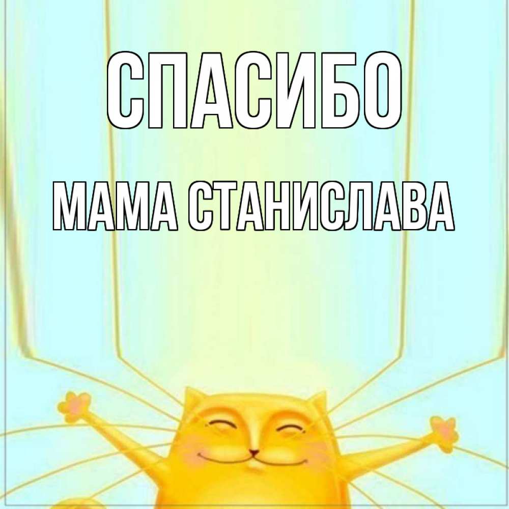 Открытка на каждый день с именем, Мама-Станислава Спасибо кот с усами благодарит Прикольная открытка с пожеланием онлайн скачать бесплатно 