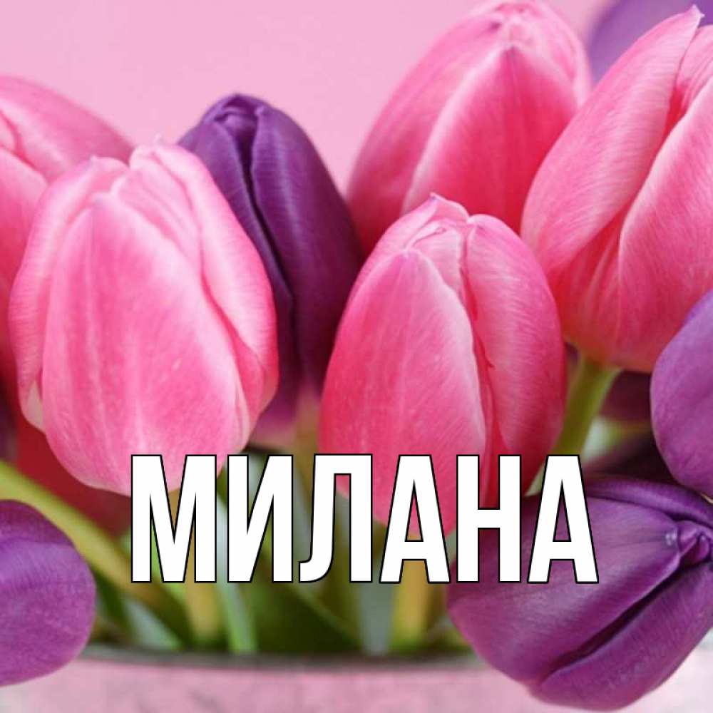 Открытка на каждый день с именем, Милана Главная маме 1 Прикольная открытка с пожеланием онлайн скачать бесплатно 