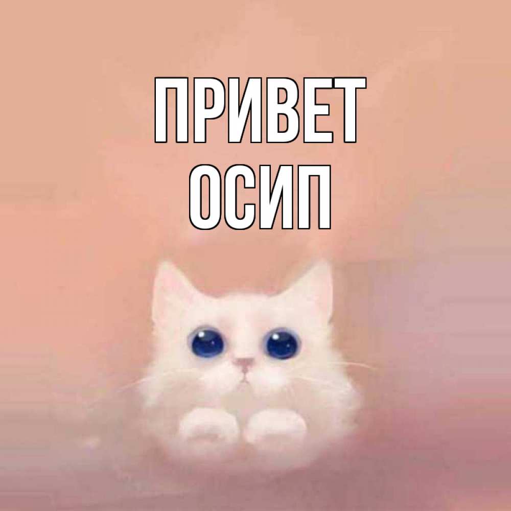 Открытка на каждый день с именем, Осип Привет котик белый в полете Прикольная открытка с пожеланием онлайн скачать бесплатно 