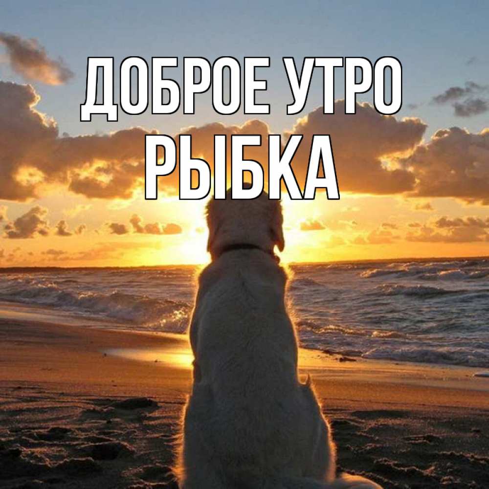 Открытка на каждый день с именем, Рыбка Доброе утро восход солнца Прикольная открытка с пожеланием онлайн скачать бесплатно 