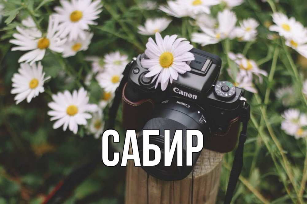 Открытка на каждый день с именем, Сабир Главная с днем фотографа Прикольная открытка с пожеланием онлайн скачать бесплатно 