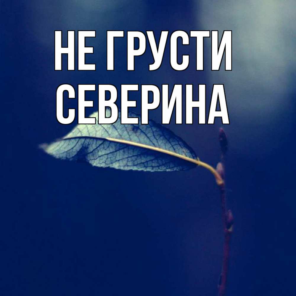 Открытка на каждый день с именем, Северина Не грусти растение Прикольная открытка с пожеланием онлайн скачать бесплатно 