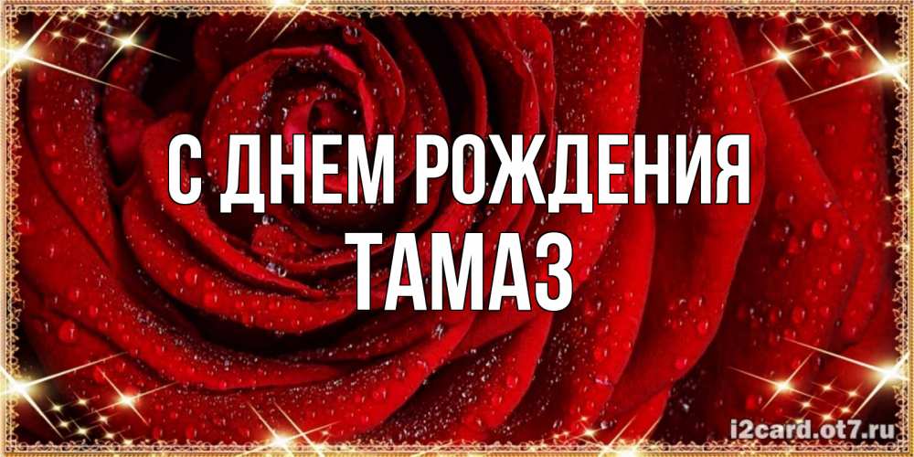 Открытка на каждый день с именем, Тамаз С днем рождения роса на розе блестящая в лучах солнца Прикольная открытка с пожеланием онлайн скачать бесплатно 