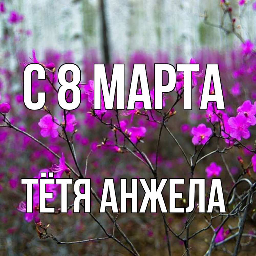 Открытка на каждый день с именем, Тётя-Анжела С 8 марта дикие цветы Прикольная открытка с пожеланием онлайн скачать бесплатно 
