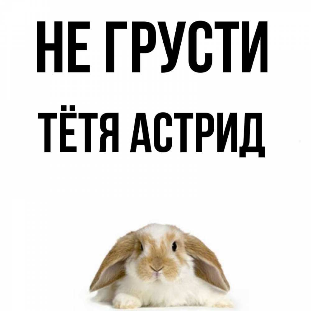 Открытка на каждый день с именем, Тётя-Астрид Не грусти коричнево белый заяц с большими ушками Прикольная открытка с пожеланием онлайн скачать бесплатно 