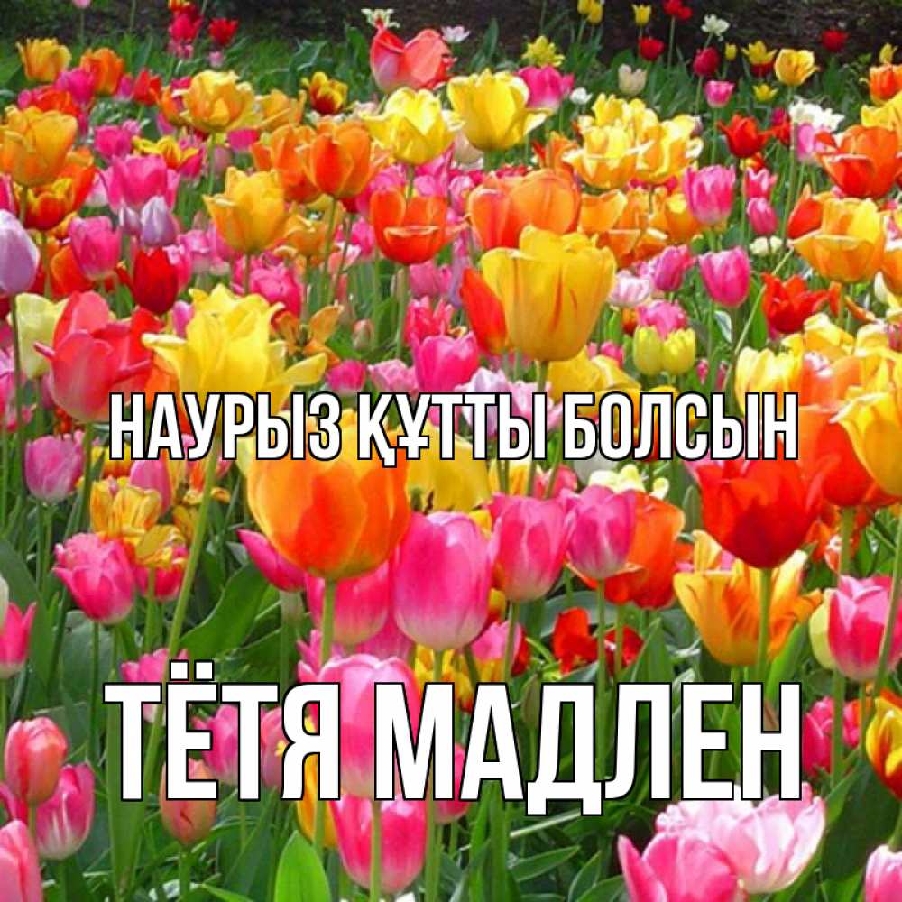 Открытка на каждый день с именем, Тётя-Мадлен Наурыз құтты болсын на наурыз  ура ура Прикольная открытка с пожеланием онлайн скачать бесплатно 