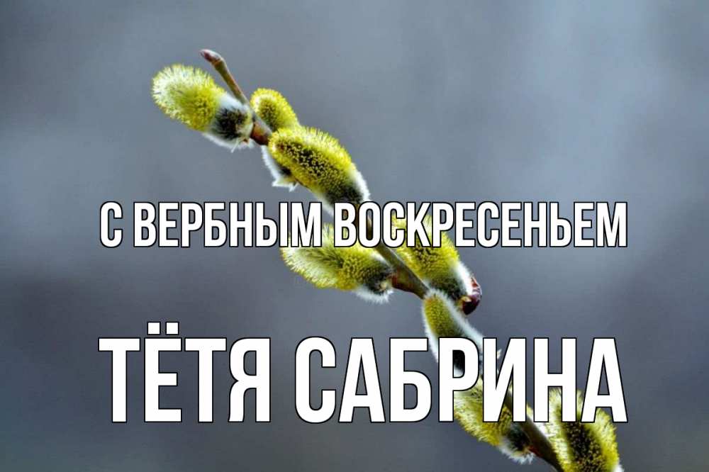 Открытка на каждый день с именем, Тётя-Сабрина С вербным воскресеньем верба Прикольная открытка с пожеланием онлайн скачать бесплатно 