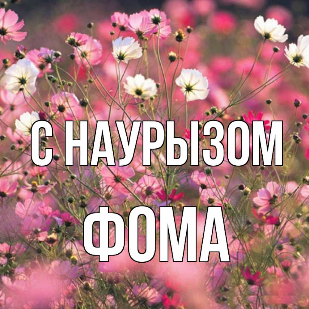 Открытка на каждый день с именем, Фома С наурызом красиво 1 Прикольная открытка с пожеланием онлайн скачать бесплатно 